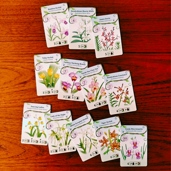 Oh My Orchids! - Image 5