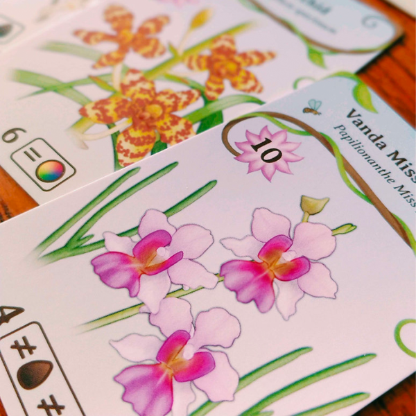 Oh My Orchids! - Image 7